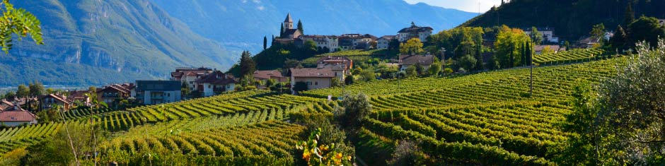 wein-italien-trentino-und-suedtirol